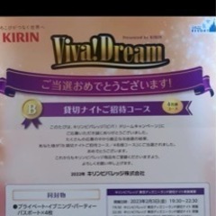 ディズニー　貸切　ビバドリーム　1名様