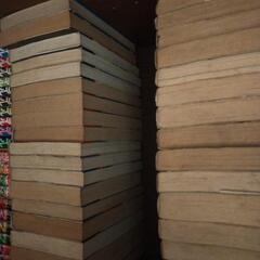 望月三起也　ワイルド7 全巻の画像