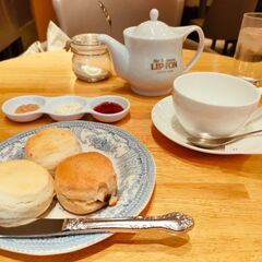 カフェ・喫茶店巡りが好きです☕🍰