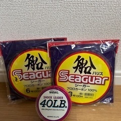 【特典付き】ダイワ　ショアジギング　セットの画像