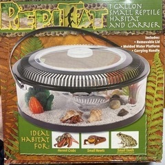 レア　レプタイルサークルケース(新品)