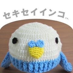 セキセイインコのニット帽　ハンドメイド品
