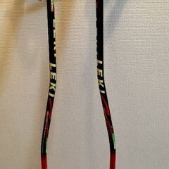 LEKI スキーストック　の画像
