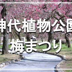 神代植物公園の散歩と梅まつりに参加しよう！