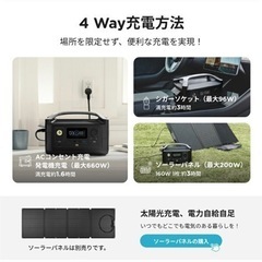 エコフローポータブル電源の画像