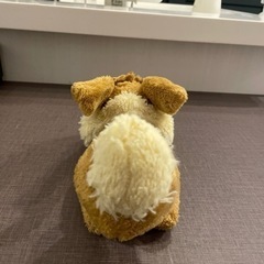 ポケモン　ぬいぐるみの画像