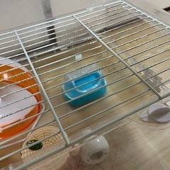 ハムスター飼育セットの画像