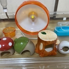 ハムスター飼育セットの画像