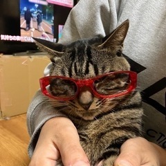 急募🥹