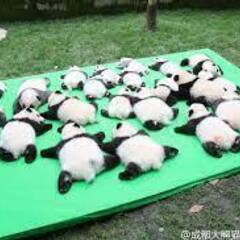 中国語の初歩の初歩の画像