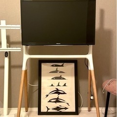 Hisense テレビ&テレビスタンド