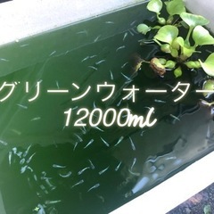 グリーンウォーター12000ml。
