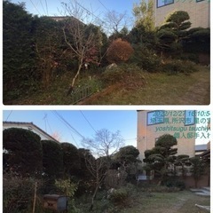 庭の手入れ　木の剪定伐採　外構工事致します。所沢市