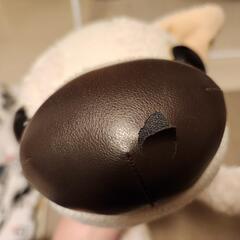 ちょっと残念なぬいぐるみ🐻の画像