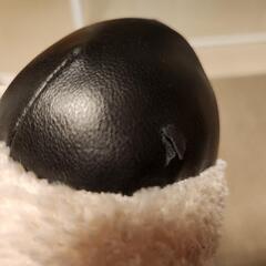 ちょっと残念なぬいぐるみ🐻の画像