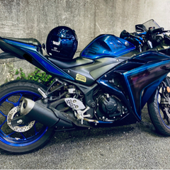 【2月中まで/値段交渉可】YZF R25 ABS 2018年式