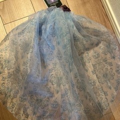 ディズニーランドで購入したカチューシャの画像