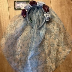 ディズニーランドで購入したカチューシャの画像
