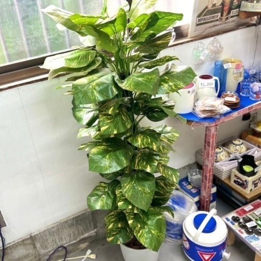 フェイクグリーン/観葉植物