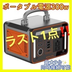 【新品！本日削除】ポータブル電源　大容量　300w アウトドア　...