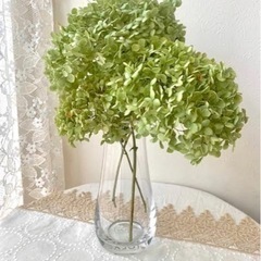 水やりなしでながーく飾れるアナベル紫陽花の画像