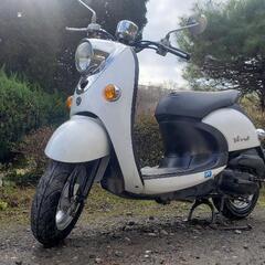 🛵原付‼️入学ｼｰｽﾞﾝ‼️学制割り❗通勤通学配達‼️即自宅配送okの画像
