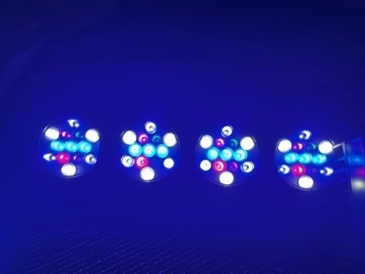 その他 hydra 52 HD