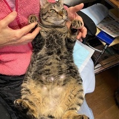 人も猫も大好きな男の子！