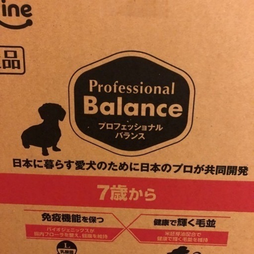 ワンちゃんのフード