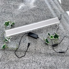 ＡＤＡ　アクアスカイ　601