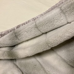 毛布　シングルの画像