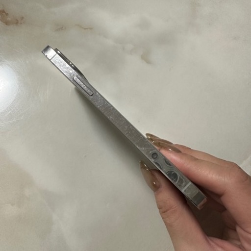 iPhone12pro 256GB silver