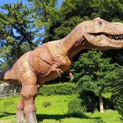 女性歓迎‼️40代50代オープンチャット‼️