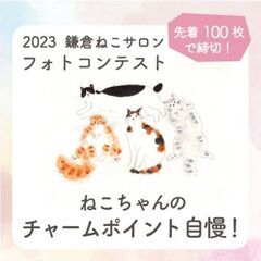 鎌倉ねこサロン「猫ちゃんのチャームポイント自慢」