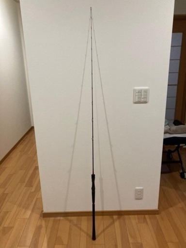 取引中　竿　ロッド　テンリュウ　レッドフリップ