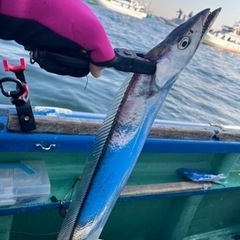 急募！！2月１０日釣り人募集！！ - その他