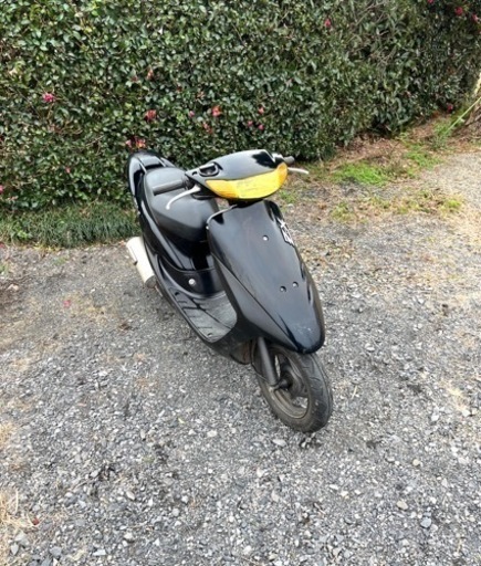 動画あり　ホンダ　ライブディオZX  前期　原付　バイク　50cc   車体　