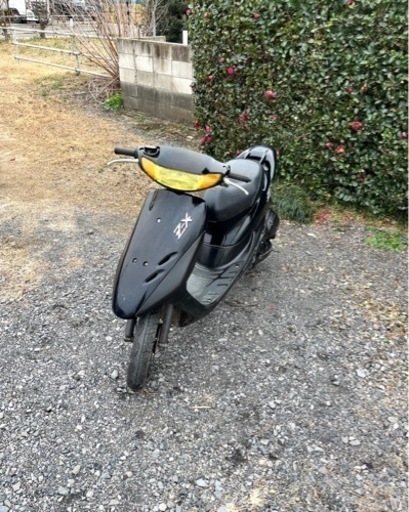 動画あり　ホンダ　ライブディオZX  前期　原付　バイク　50cc   車体
