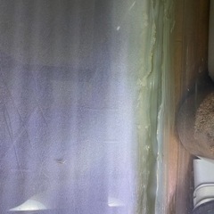 ニッソー　スティングレー９００の画像