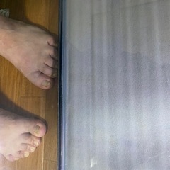 ニッソー　スティングレー９００の画像