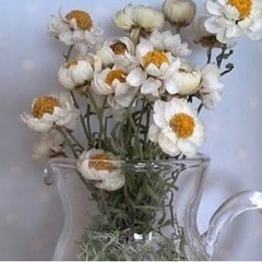 花かんざし　jgmの画像