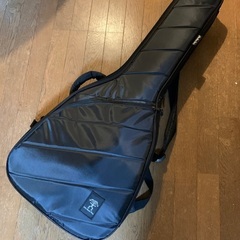 aNueNue bird guiter M1Eの画像