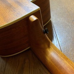 aNueNue bird guiter M1Eの画像