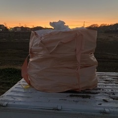 激安未乾燥薪！広葉樹(エノキ) 長さ25cm〜35cmくらい　神奈川県平塚市　フレコン単位(約0.8立米) 配達or軽トラ貸し出しも可能　複数購入可の画像