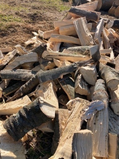 激安未乾燥薪！広葉樹(エノキ) 長さ25cm〜35cmくらい　神奈川県平塚市　フレコン単位(約0.8立米) 配達or軽トラ貸し出しも可能　複数購入可