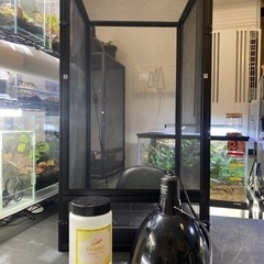 爬虫類・カメレオン飼育セット（メッシュケージ バスキングライトソ...