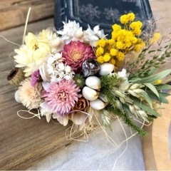 センニチコウ　ddの画像