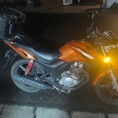 cbf125の画像