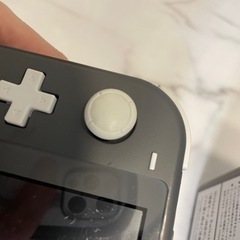 スイッチライト グレー 新品充電器付きの画像