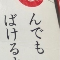 アンパンマンカルタ＆ブロックの画像